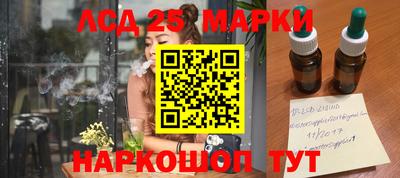 бошки Тверь