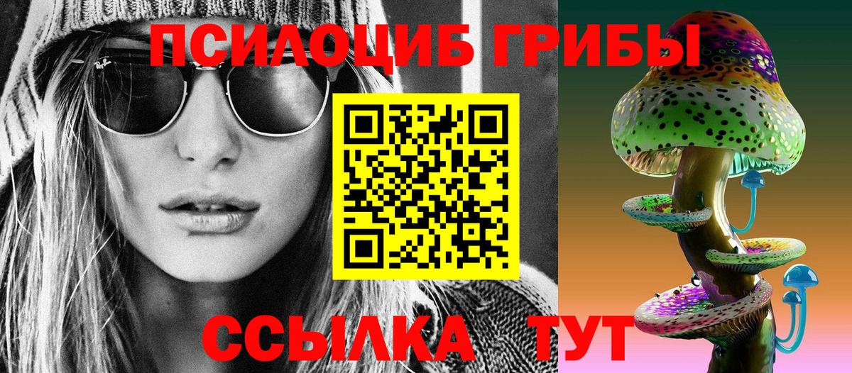 Псилоцибиновые грибы мухоморы Новоуральск