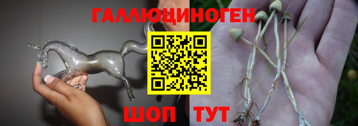 Новоуральск  цены наркотик  Вход с VPN  Псилоцибиновые грибы Psilocybe 